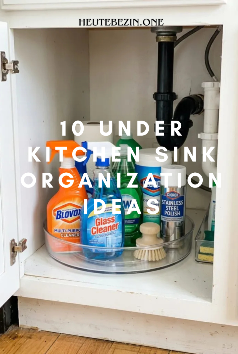 10 Under Kitchen Sink Organization Ideas